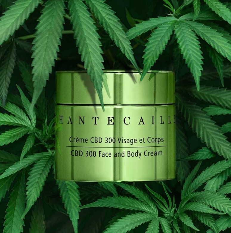 Chantecaille 每瓶注入300毫克廣譜大麻二酚的奢華乳霜